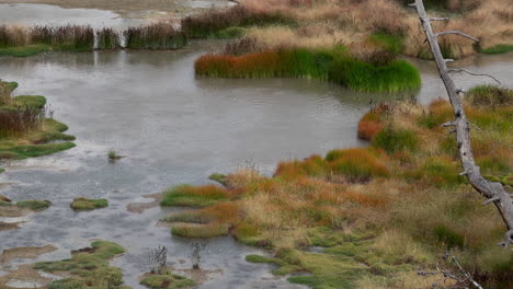 agua burbujeante caliente en una piscina climatizada geotérmicamente y pastos coloridos en el parque nacional de piedra amarilla