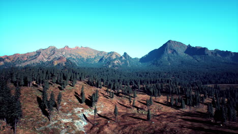 hermosa vista de la montaña con bosque de pinos