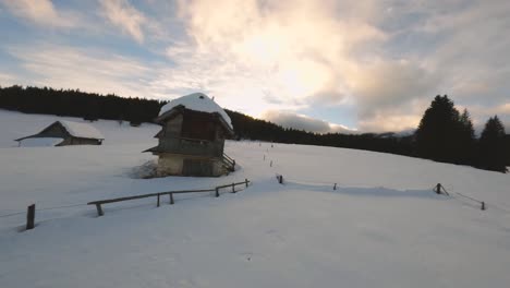 fpv drone shot captured in slovenia in pokljuka forest with surrounding nature and mountains at golden hour at sunset with fast and cinematic movement around the village and forest