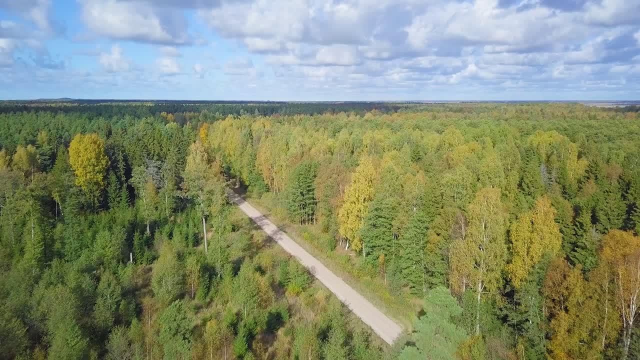 숲의 초가을, 공중 평면도, 혼합 숲, 녹색 침엽수, 노란 잎이 있는 낙엽수, 가을 색 시골 삼림 지대, 북유럽 숲 풍경, 광각 설정 샷