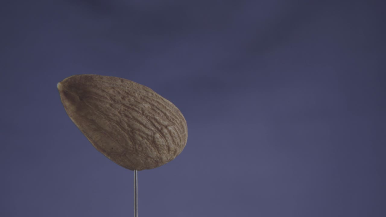 almendra girando con bucle en pantalla azul para la llave de croma