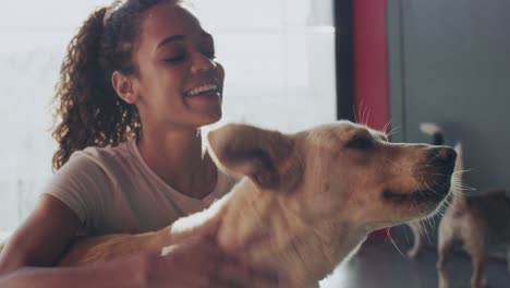 4k video footage of an attractive young woman bonding with her newly adopted dog at the animal shelter