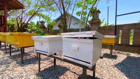 caja de colmena de madera en un apiario. granja de apicultura