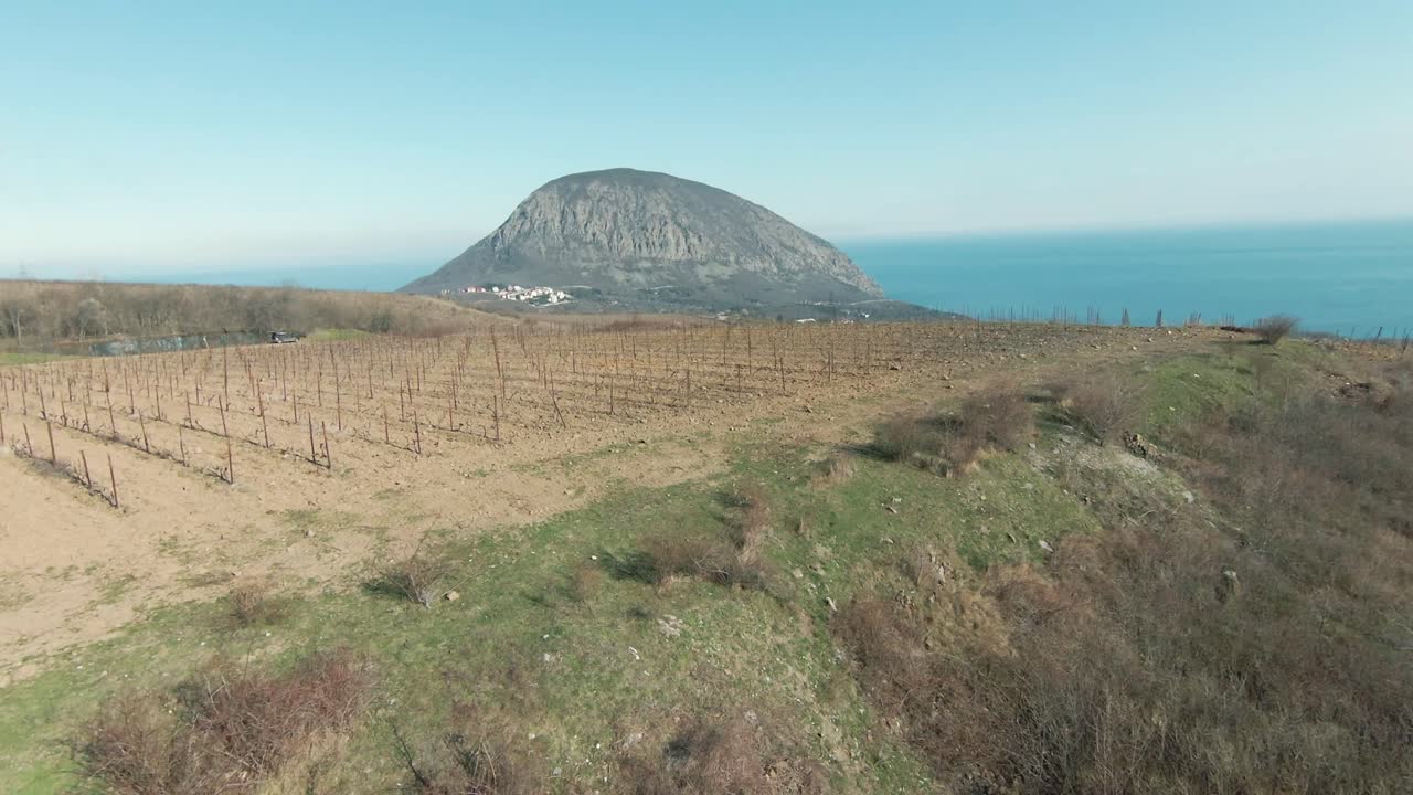 포도원 과 숲 이 있는 언덕 지형 의 공중 풍경