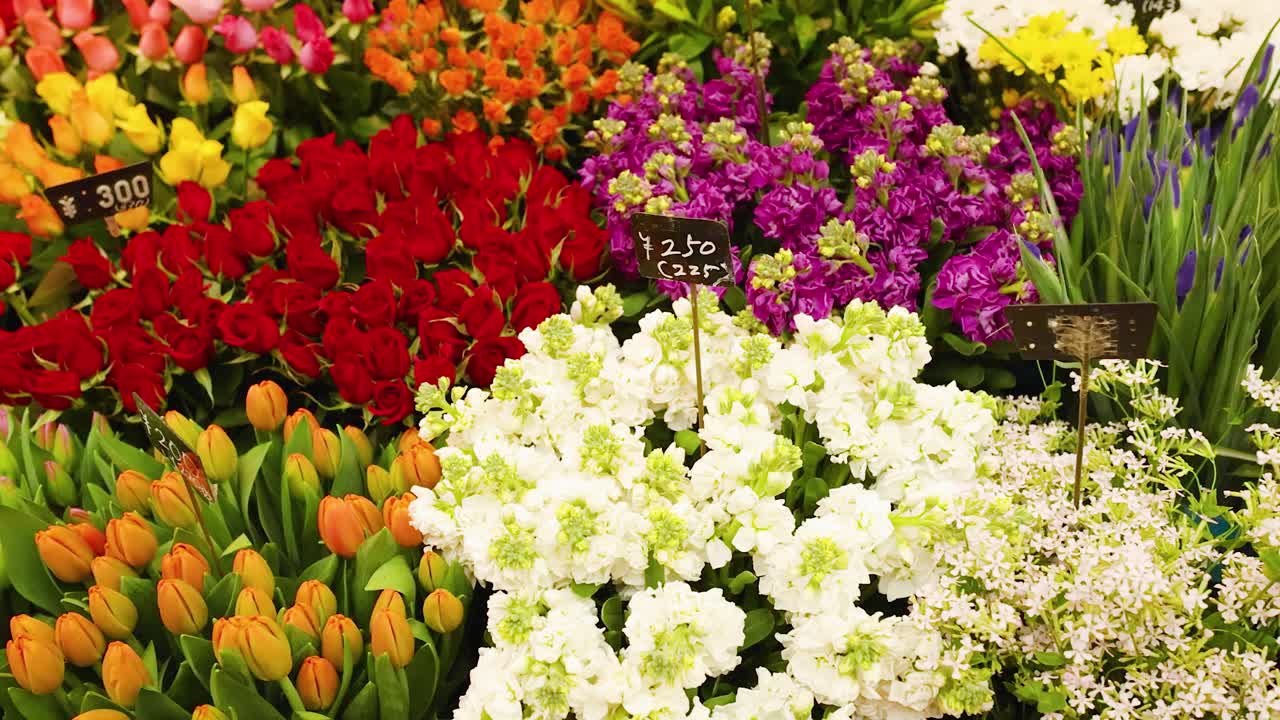 A slow panning shot reveals colorful roses, carnations, and tulips arranged at a market