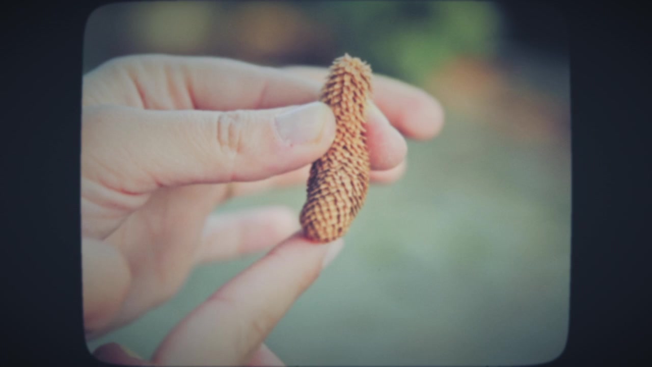 Human fingers imitating a dance