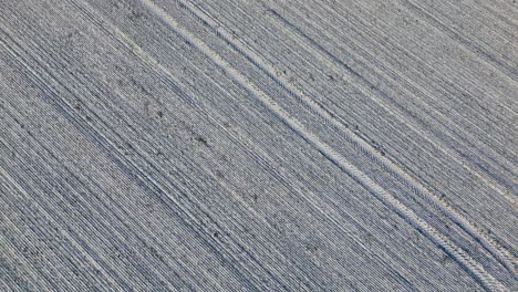 Aerial-Texture-of-Frosty-Farmland-Patterns-at-Daybreak