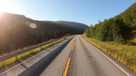 Animal-on-the-road.-Driving-a-Car-on-a-Road-in-Norway.-Rams-blocked-the-way-for-traffic.