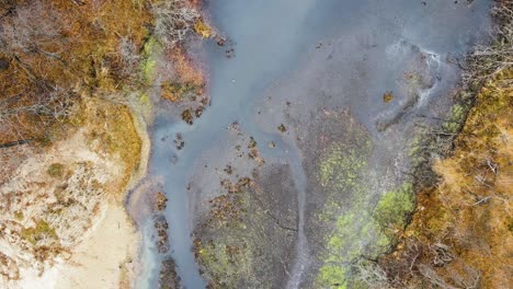 ducks swimming along the surface of a tributary near muskegon lake