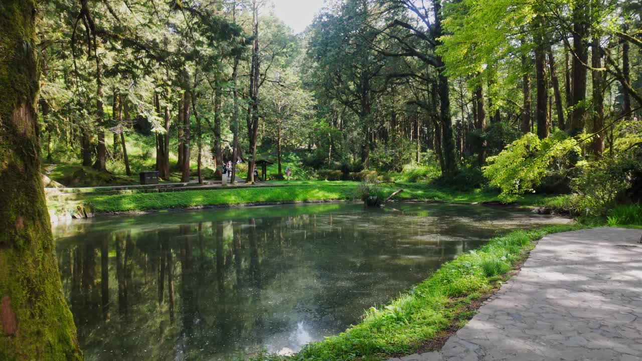 Establishing pan across of Sister Ponds surrounded with tall trees and green foliage at Taiwan