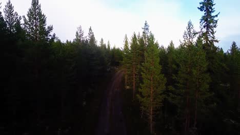 Toma-Aérea-De-Un-Camino-De-Ripio-En-Suecia