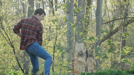 Attractive young lumberjack swinging his axe into a tree stump