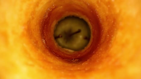 starting outside and then pushing into the interior of a cored apple, oxidation is prevalent, many textures