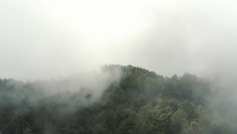 drone aerial view, foggy mountain summit, green forest during cloudy day