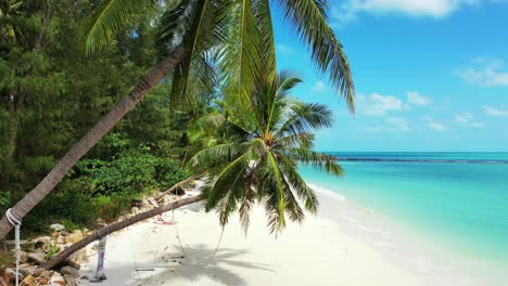 paradiesischer exotischer strand mit weißem sand unter palmen mit blättern und kokosnusskernen auf strahlend blauem himmel und türkisfarbenem lagunenhintergrund