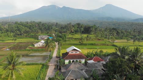 Campo-De-Lombok-Debajo-Del-Famoso-Monte-Rinjani,-Exuberante-Tierra-Tropical