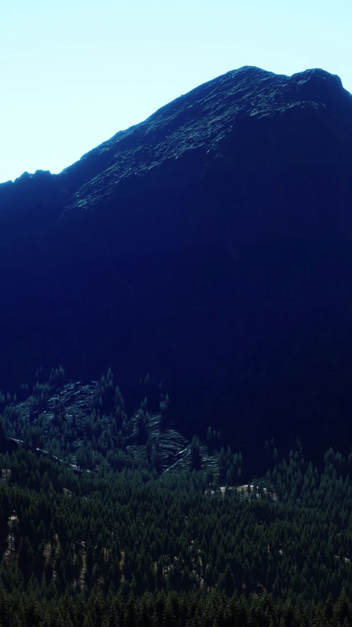 울창한 숲 위로 아오르는 웅장한 산