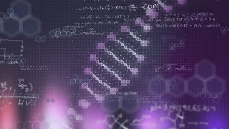 Animation-Des-DNA-Stamms,-Der-Sich-Dreht,-Mit-Mathematischen-Gleichungen,-Die-Auf-Violettem-Und-Schwarzem-Hintergrund-Schweben