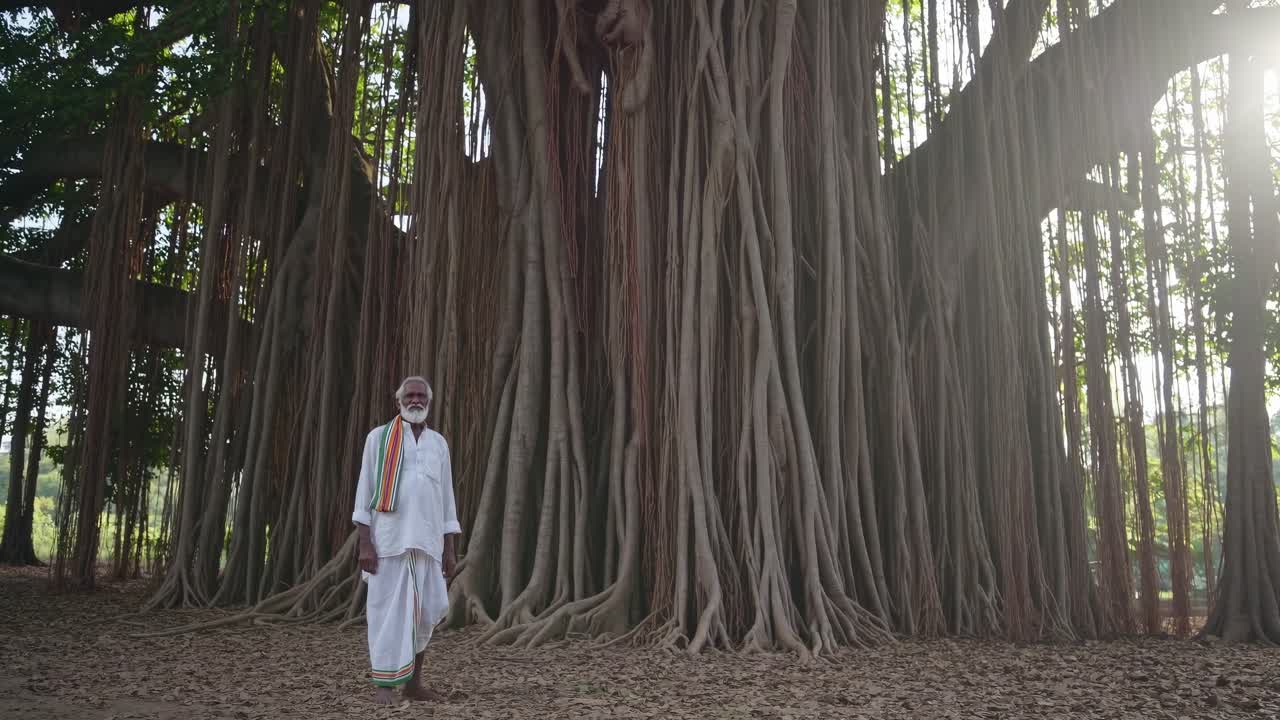 Senior Indian farmer walking near a giant banyan tree in a woodland, representing the connection between humans and nature, spirituality, and the wisdom of elders in traditional cultures