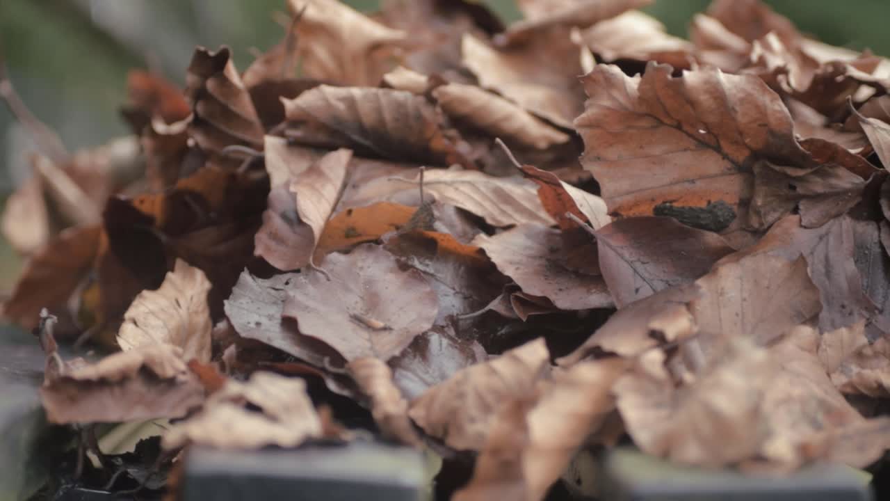 Pile of autumn leaves on a park bench