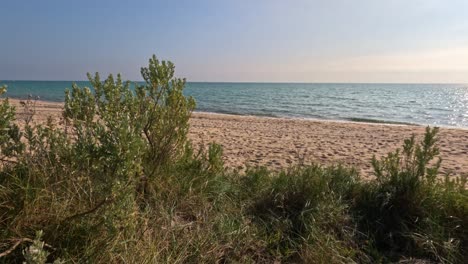 escena de playa tranquila con olas suaves