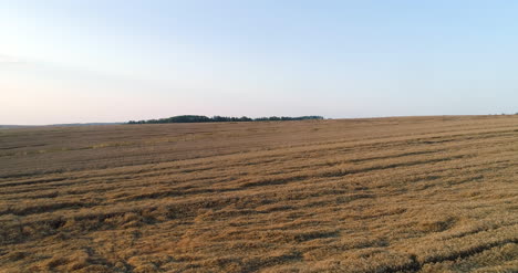 Flying-Over-Wheat-Field-Agriculture-6