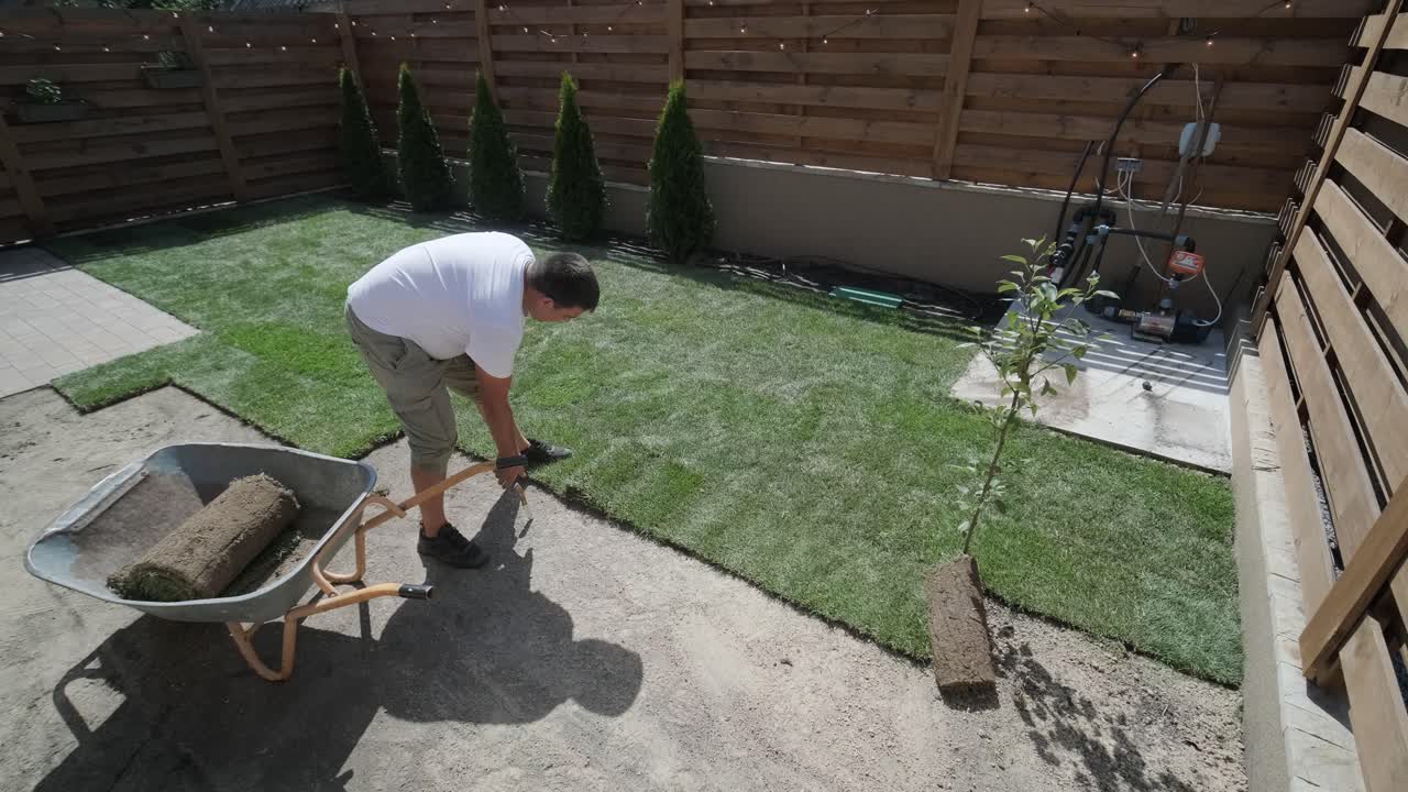 Roll of new natural grass turf installed by professional gardener. Landscaping industry.