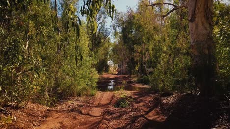 Drone-Aéreo-Volando-A-Través-Del-Oasis-Del-Desierto-Australiano-Billabong