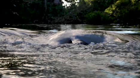 Small-beautiful-river-in-the-middle-of-the-forest-in-Brazil