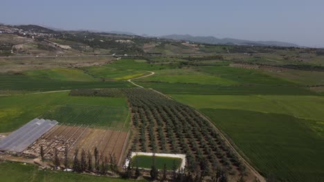 cultivo aéreo de drones