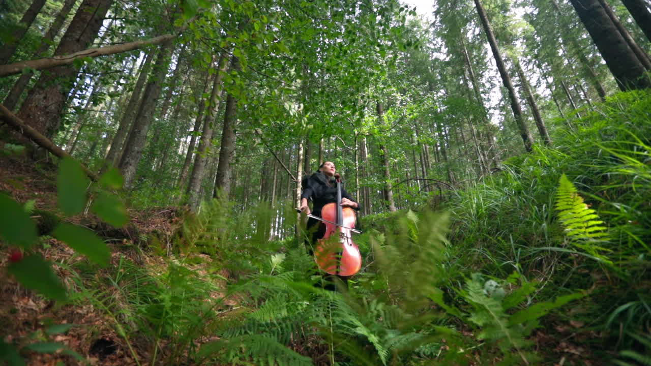Woman with cello outdoor. Beautiful girl enjoys playing the cello on mountain