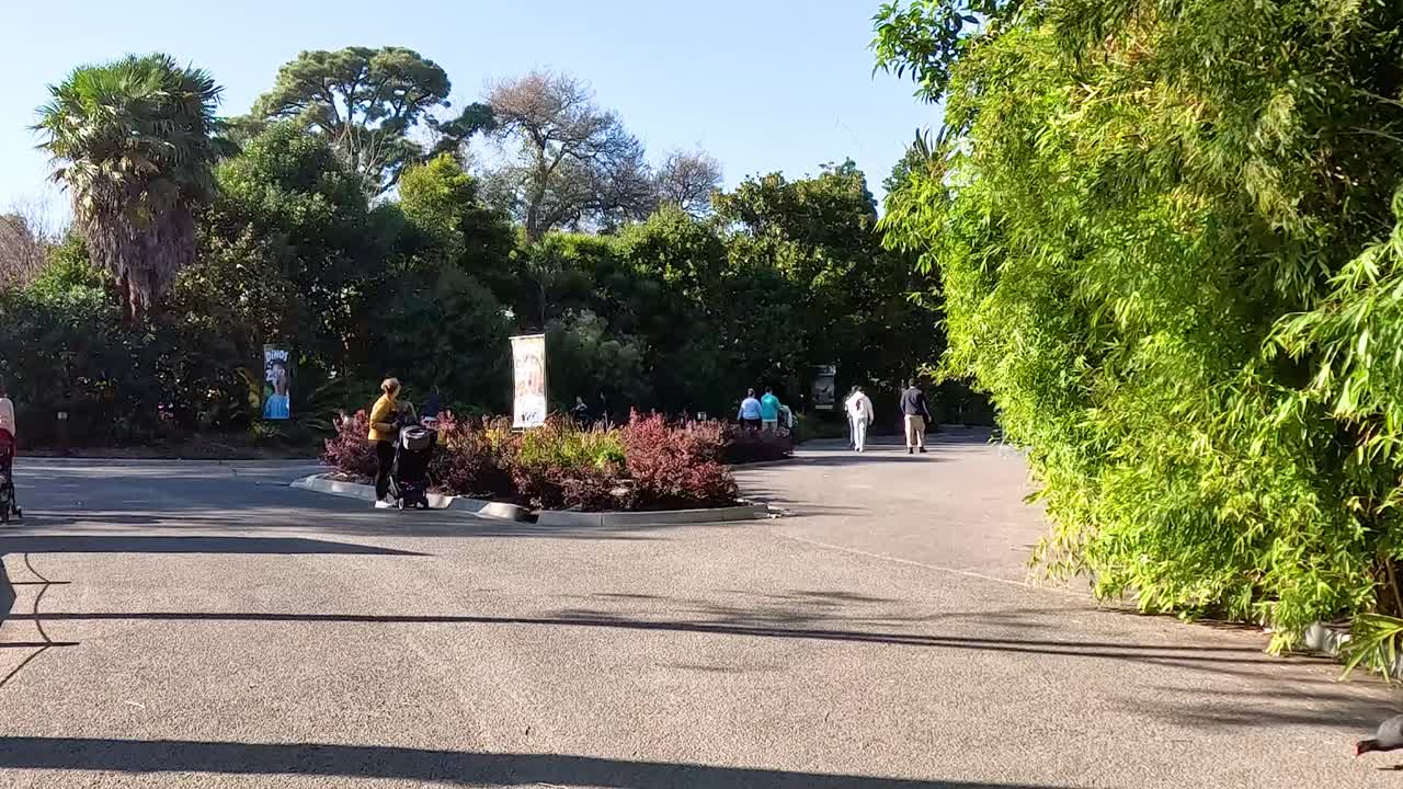 Visitors stroll along a sunlit path surrounded by vibrant greenery and colorful plants.