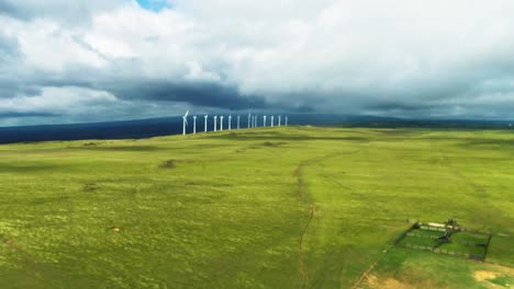 green field sustainable energy wind power turbine in south point park, big island, hawaii