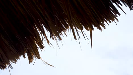 cerca de una cabaña de playa rústica con techo de paja tradicional revoloteando en la brisa de viento en un destino de isla tropical remota