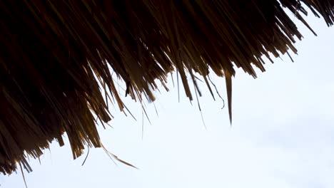 close up of rustic beach hut with traditional thatched roof fluttering in windy breeze on a remote tropical island destination