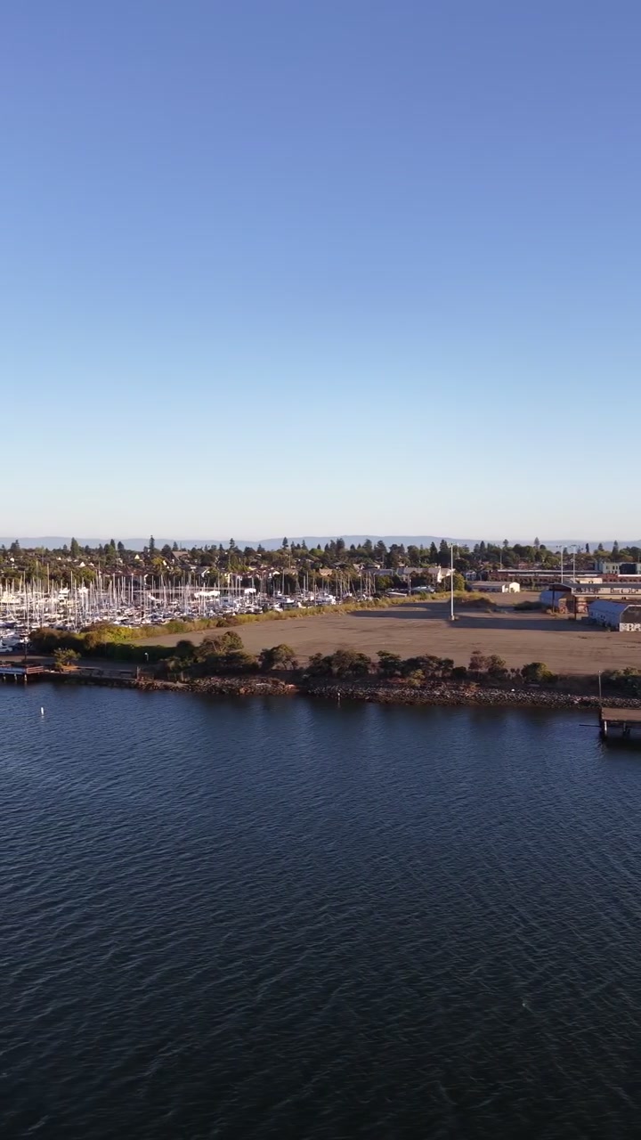 Aerial view of the Alameda waterfront, with a marina full of boats and a clear blue sky on a sunny day. Tracking drone shot.