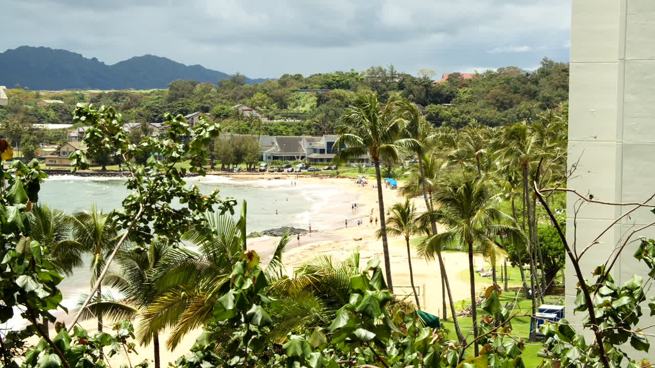 vista de la playa desierta de kauai a través de las palmeras en cámara lenta