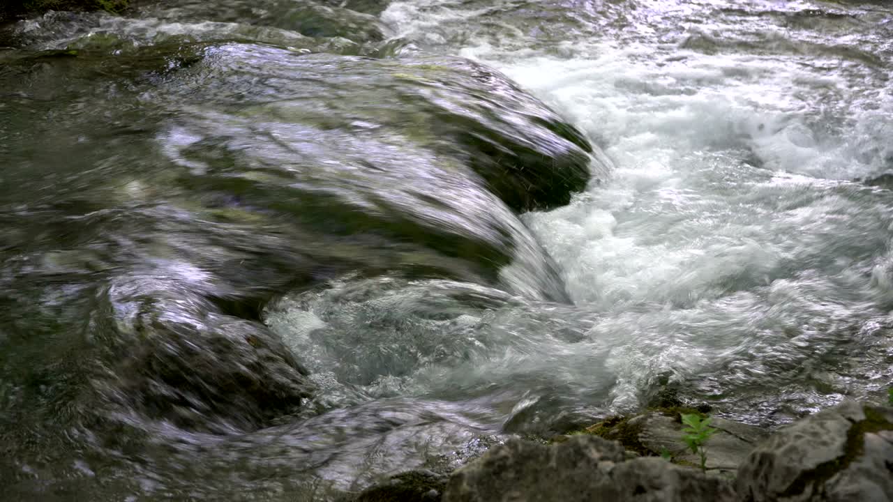 Ruscello d'acqua limpida in loop