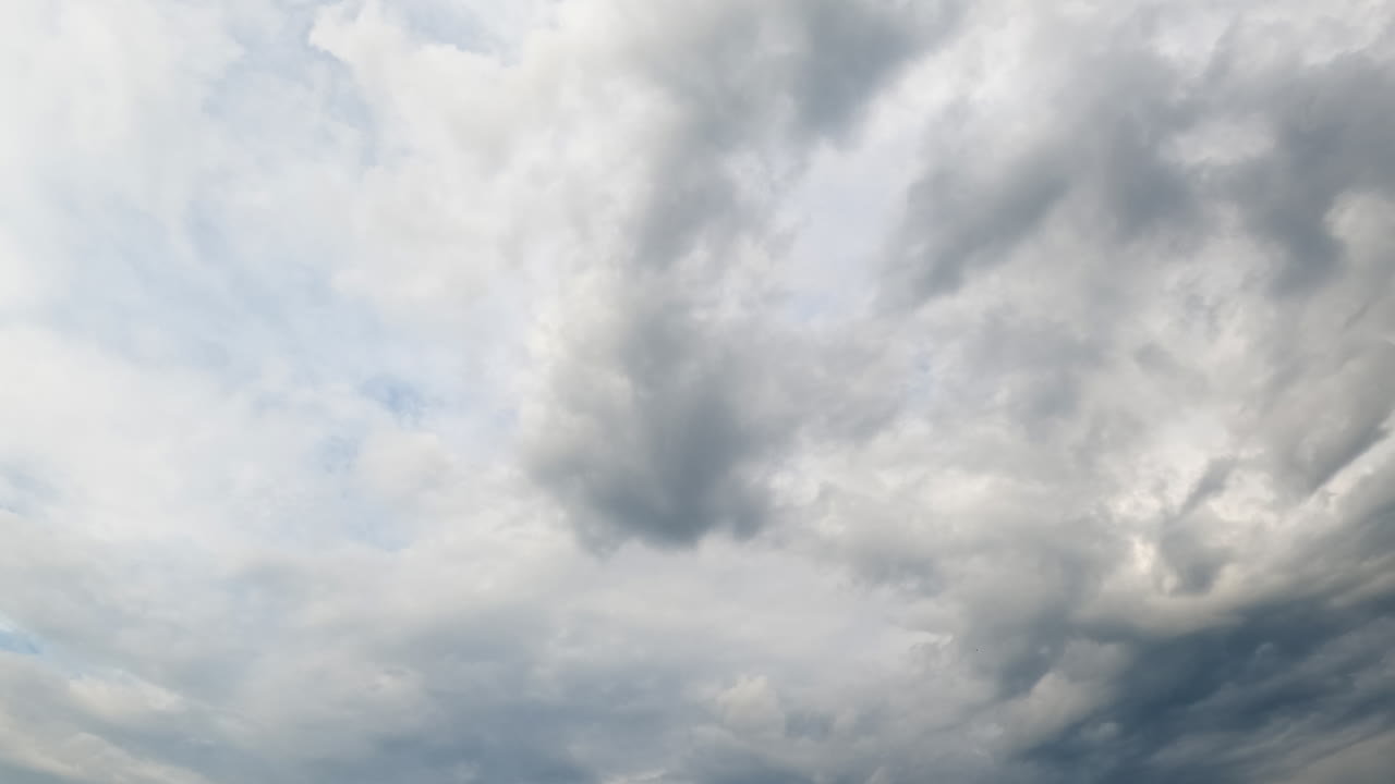 Cumulus cloudscape moving the atmosphere. Sky can't be seen behind the thick clouds. Low angle view. Timelapse.