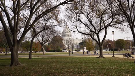 câmera lenta em direção ao capitólio dos estados unidos através de árvores no parque, rastreamento de tiro, washington