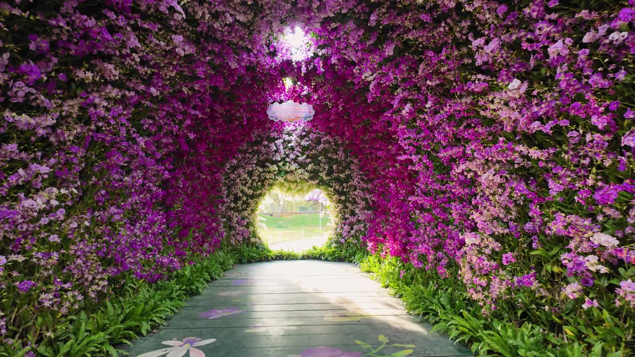 Colori vivaci di uno splendido tunnel floreale al Festival dei Fiori di Chiang Rai. Atmosfera incantevole con luce naturale che filtra attraverso fiori vivaci.