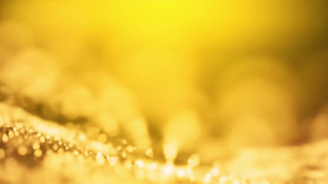 Droplets glisten under the warm sunlight on a smooth surface. The golden glow creates a tranquil atmosphere during the quiet early hours, evoking a sense of peace and beauty in nature.