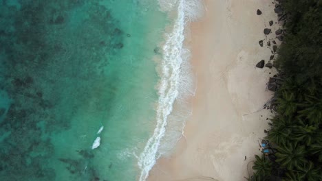 Mit-Einer-Drohne-Von-Oben-Gefilmte-Landschaften-Auf-Den-Seychellen,-Die-Das-Meer,-Felsen-Und-Palmen-Auf-Der-Hauptinsel-Mahe-Zeigen