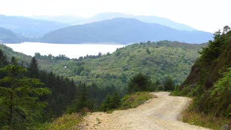 Grey-gravel-road-descending-among-the-green-vegetation-moving-calmly-in-the-wind-in-the-Scottish-highlands-on-a-cloudy-day