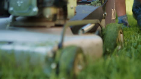 cutting the grass on a sunny day with a power mower