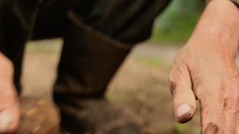 Farmer-inspects-his-crop-of-potatoes-hands-stained-with-earth.