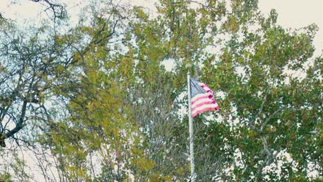 american flag blowing in the wind in front of green trees and a cloudy blue sky