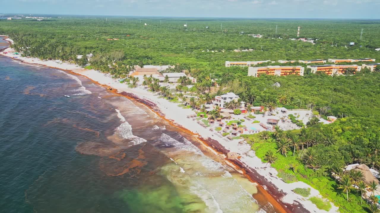 Invasive algae, beach paradise, resort accommodation, tropical jungles