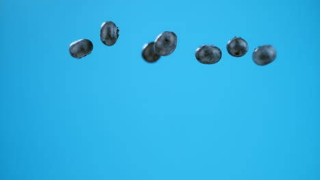 seven blueberries in a row or group launched and flying in air