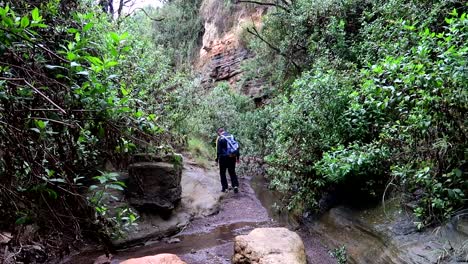 Amplia-Vista-Del-Explorador-Turístico-Haciendo-Senderismo-En-El-Parque-Nacional-Hells-Gate,-Cruza-El-Arroyo